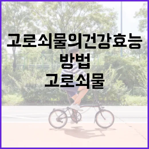 고로쇠물의 건강 효능을 최대한 활용하는 방법 - 요약