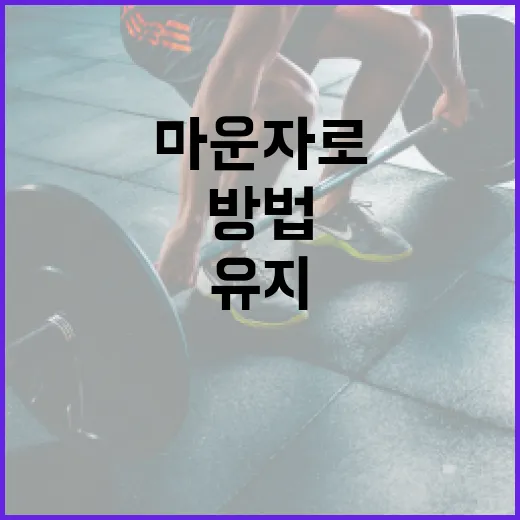 마운자로를 통해 건강한 생활을 유지하는 방법 - 요약