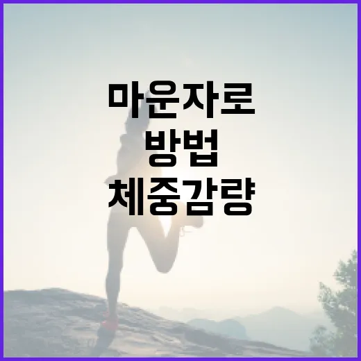 마운자로를 통해 건강하게 체중 감량하는 방법 - 요약