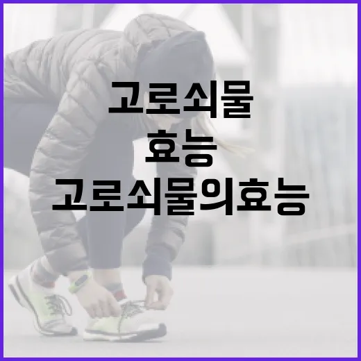 고로쇠물의 효능을 최대한 활용하는 방법 - 요약