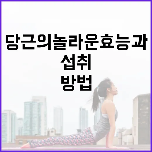 당근의 놀라운 효능과 건강하게 섭취하는 방법 - 요약