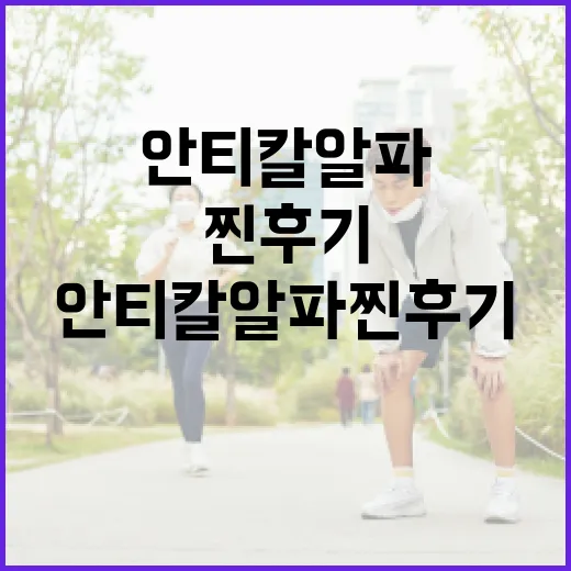 안티칼알파 찐후기로 알아보는 효과적인 사용 방법 - 요약