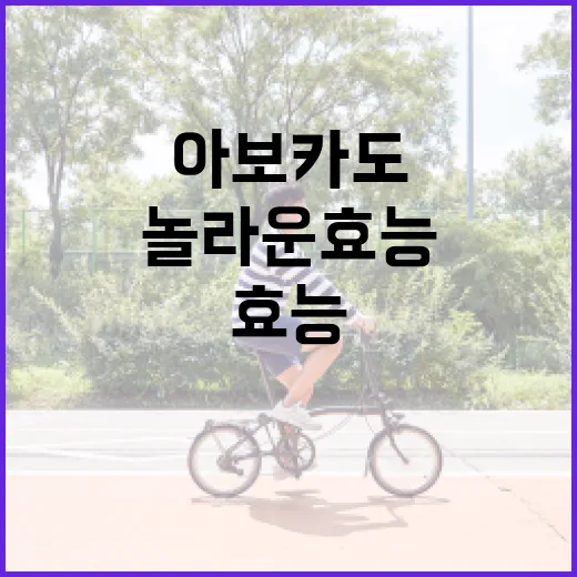 아보카도의 놀라운 효능을 극대화하는 방법 - 요약