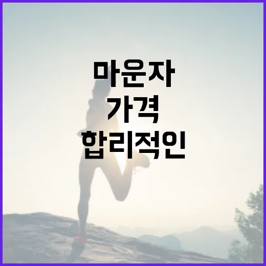 마운자를 합리적인 가격에 구매하는 방법 - 요약
