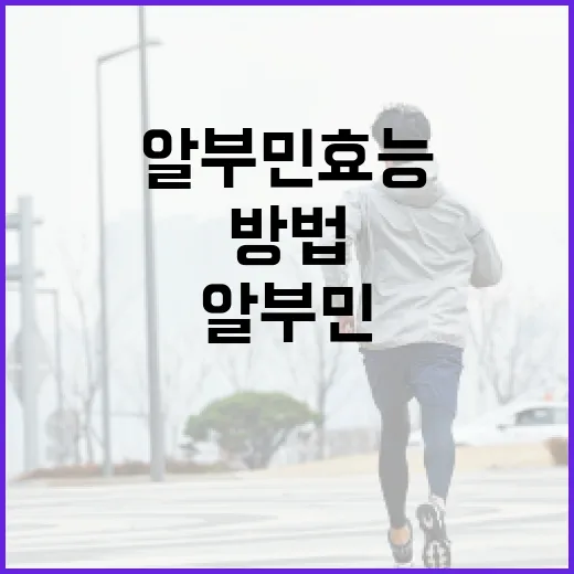 알부민 효능을 최대한 활용하는 방법 - 요약