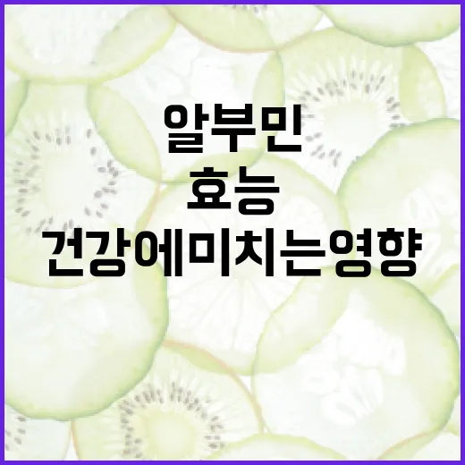 알부민의 효능과 건강에 미치는 영향 알아보기 - 요약