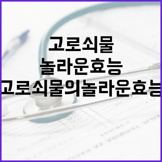 고로쇠물의 놀라운 효능과 활용 방법 - 요약