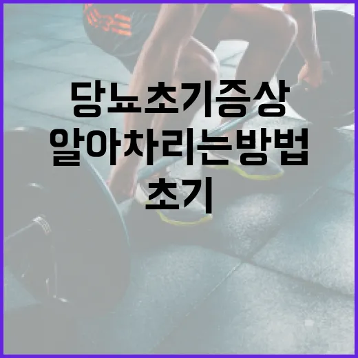 당뇨 초기증상을 알아차리는 방법 - 요약