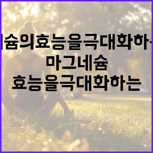 마그네슘의 효능을 극대화하는 방법 - 요약