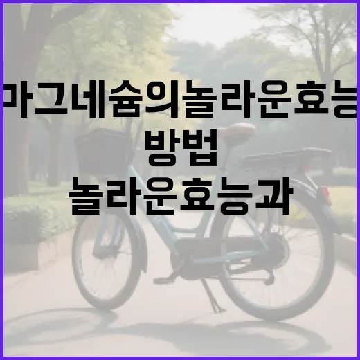 마그네슘의 놀라운 효능과 활용 방법 - 요약