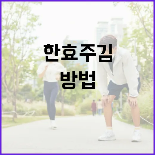 한효주 김 섭취로 건강을 유지하는 방법 - 요약
