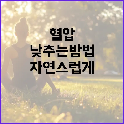 자연스럽게 혈압을 낮추는 방법 - 요약
