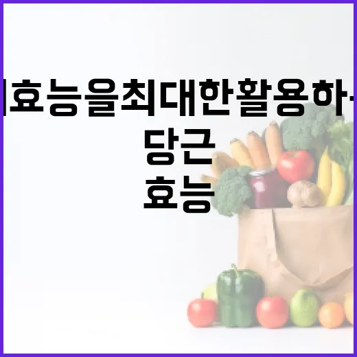 당근의 효능을 최대한 활용하는 방법 - 요약