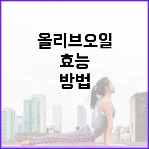올리브오일의 건강 효능을 발견하는 방법 - 요약