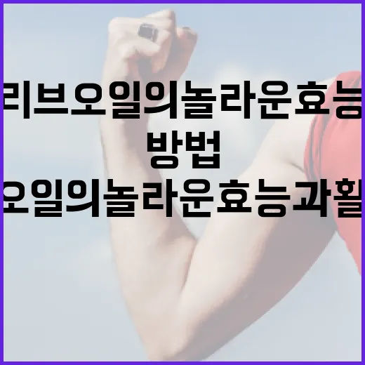 올리브오일의 놀라운 효능과 활용 방법 - 요약
