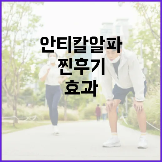 안티칼알파를 제대로 활용하는 방법: 찐후기와 효과 분석 - 요약
