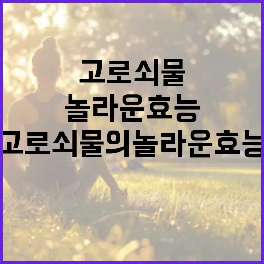 고로쇠물의 놀라운 효능과 활용 방법 - 요약