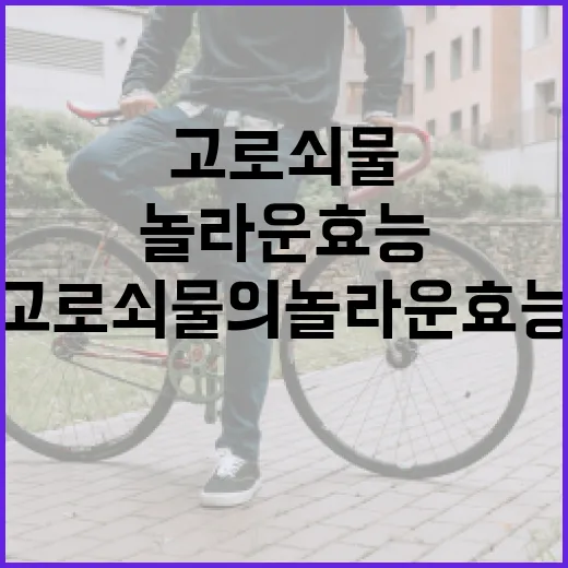 고로쇠물의 놀라운 효능을 알아보는 방법 - 요약