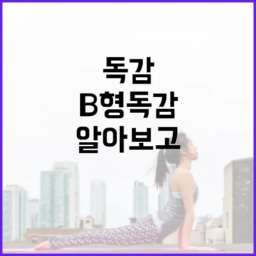 B형 독감 증상을 알아보고 관리하는 방법 - 요약
