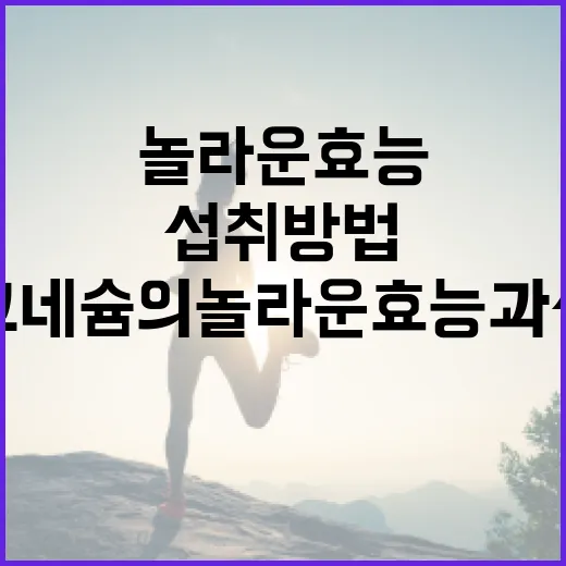 마그네슘의 놀라운 효능과 섭취 방법 - 요약