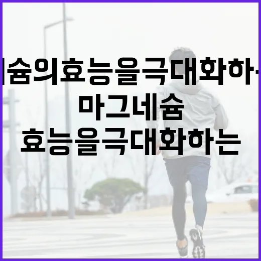 마그네슘의 효능을 극대화하는 방법 - 요약