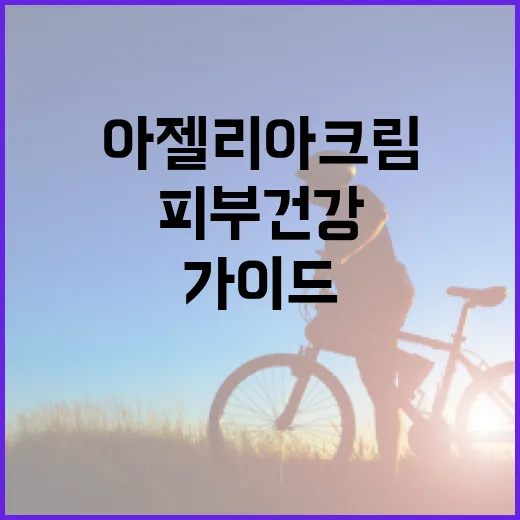 아젤리아크림을 사용하는 방법: 피부 건강을 위한 완벽 가이드 - 요약