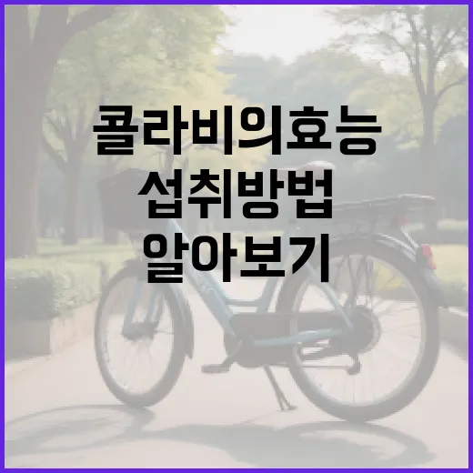 콜라비의 효능과 섭취 방법 알아보기 - 요약