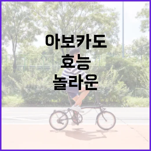 아보카도의 놀라운 효능을 최대한 활용하는 방법 - 요약