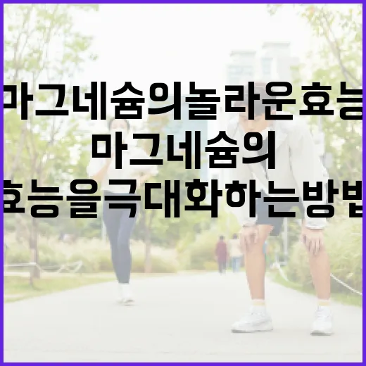 마그네슘의 놀라운 효능을 극대화하는 방법 - 요약