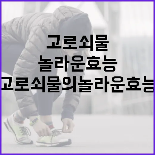 고로쇠물의 놀라운 효능을 이해하는 방법 - 요약