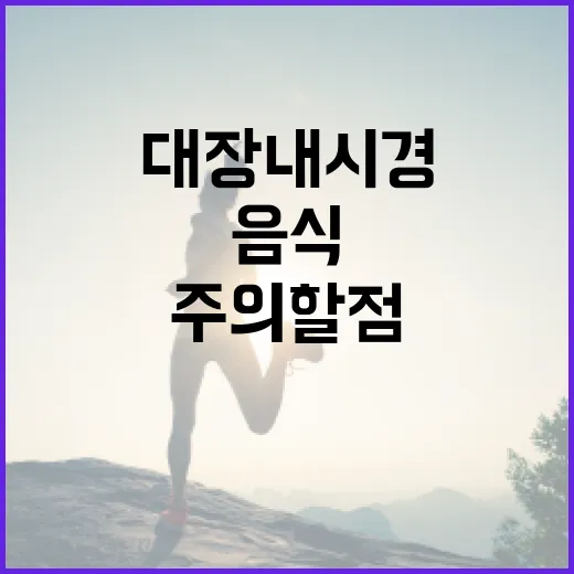 대장내시경 전 준비: 음식 선택과 주의할 점 - 요약