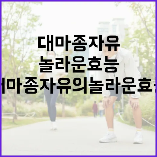 대마종자유의 놀라운 효능 알아보는 방법 - 요약