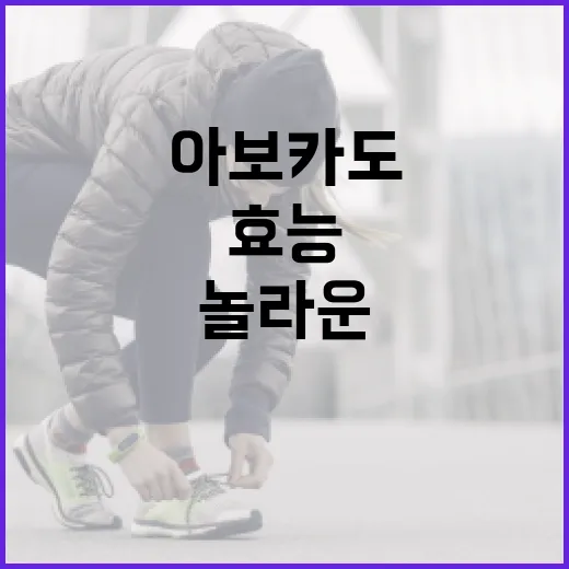 아보카도의 놀라운 효능을 최대한 활용하는 방법 - 요약