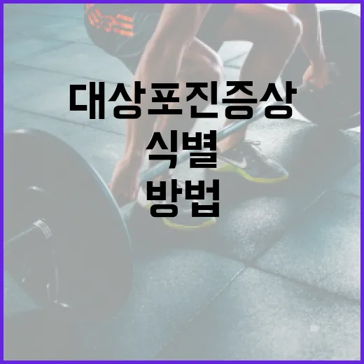 대상포진 증상을 식별하고 관리하는 방법 - 요약