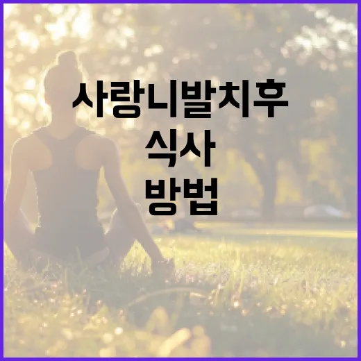 사랑니 발치 후 올바르게 식사하는 방법 - 요약