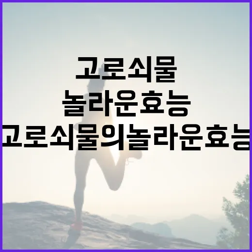 고로쇠물의 놀라운 효능을 아는 방법 - 요약