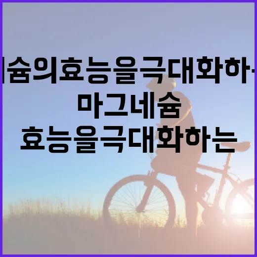 마그네슘의 효능을 극대화하는 방법 - 요약