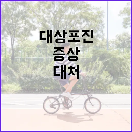 대상포진 증상을 이해하고 대처하는 방법 - 요약