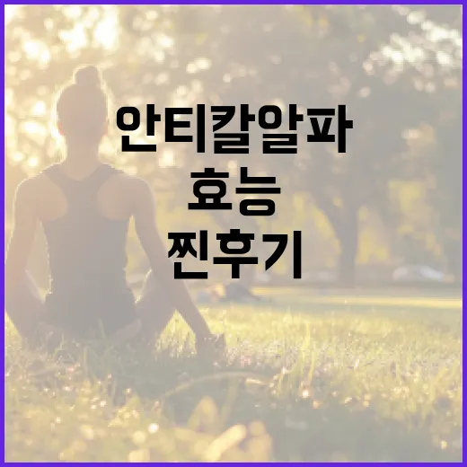 안티칼알파의 효능과 사용법: 찐후기를 통해 알아보는 방법 - 요약