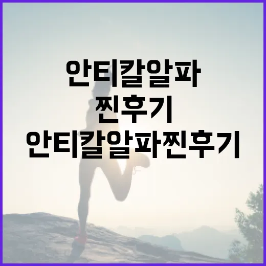 안티칼알파 찐후기를 통한 효과적인 사용 방법 - 요약