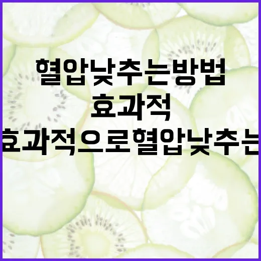 효과적으로 혈압 낮추는 방법 - 요약