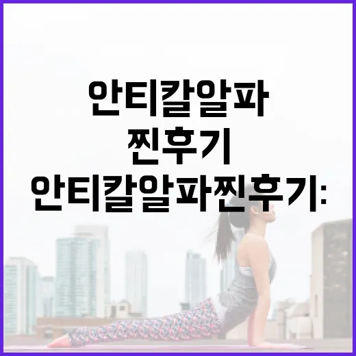 안티칼알파 찐후기: 효과적으로 사용하는 방법 - 요약