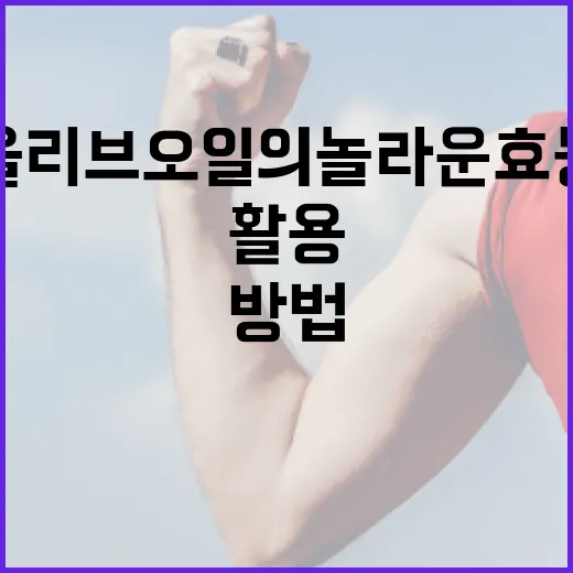 올리브오일의 놀라운 효능을 최대한 활용하는 방법 - 요약