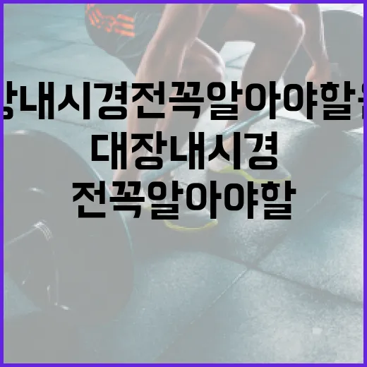 대장내시경 전 꼭 알아야 할 음식 섭취 방법 - 요약