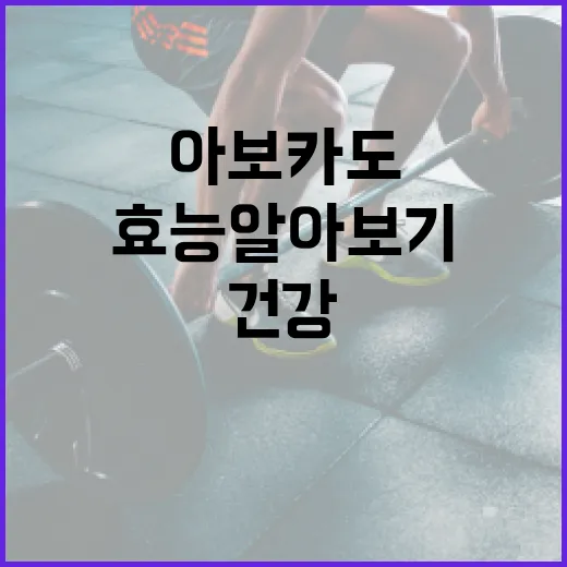 아보카도의 놀라운 효능 알아보기: 건강을 위한 완벽한 선택 - 요약