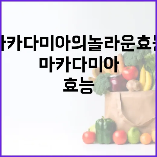 마카다미아의 놀라운 효능을 최대한 활용하는 방법 - 요약