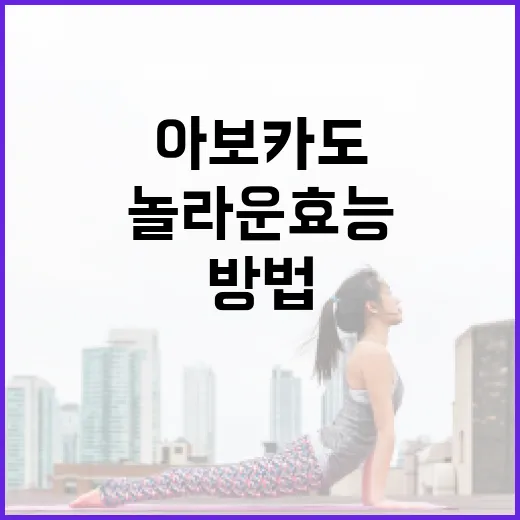 아보카도의 놀라운 효능을 활용하는 방법 - 요약