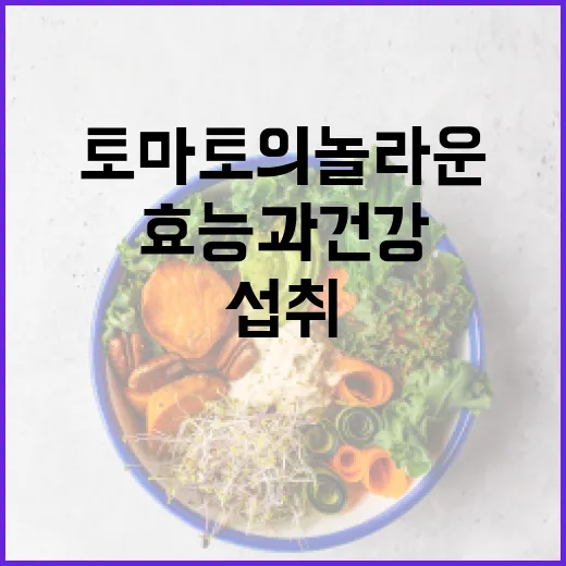 토마토의 놀라운 효능과 건강하게 섭취하는 방법 - 요약