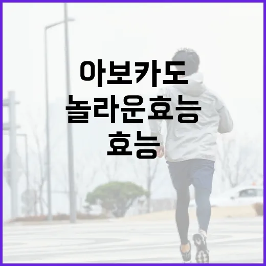 아보카도의 놀라운 효능을 극대화하는 방법 - 요약