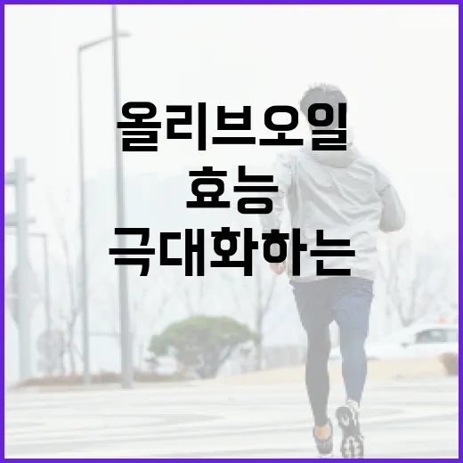 올리브오일의 효능을 극대화하는 방법 - 요약